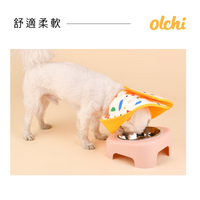 Olchi Jelly Bear Neck Collar Pet Headgear