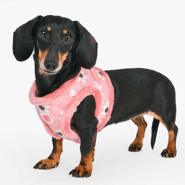 Pinkaholic Nanala Vest Harness Indian Pink