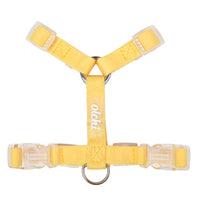 Olchi Pudding H Harness Yellow