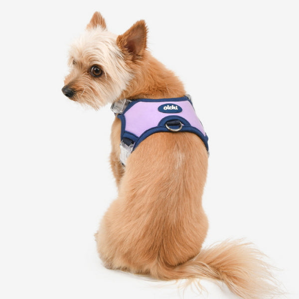 Olchi Jelly Harness Purple