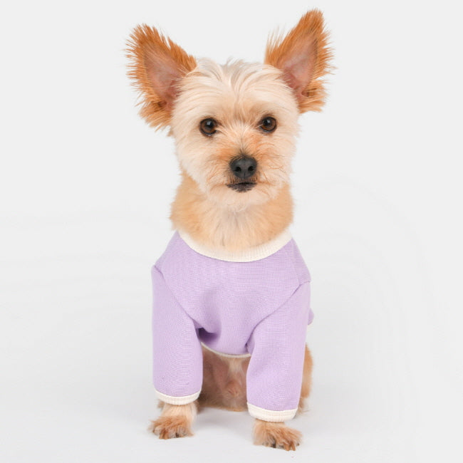 Olchi Cherry Button Purple