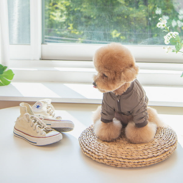 Olchi Scouts Brown