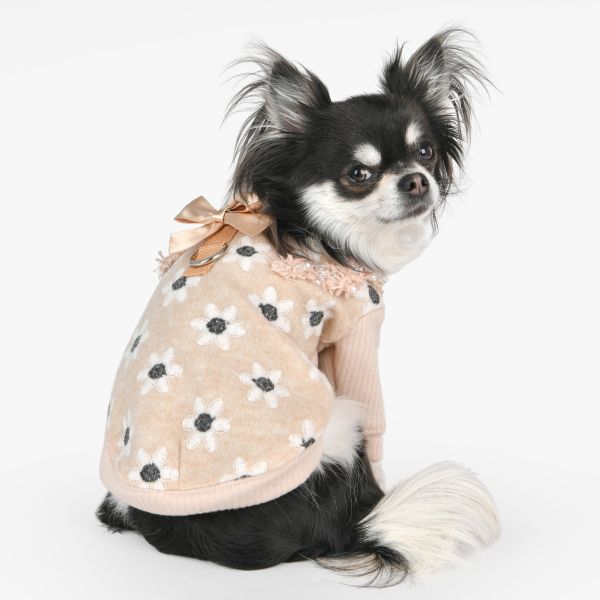 Pinkaholic Nanala Beige