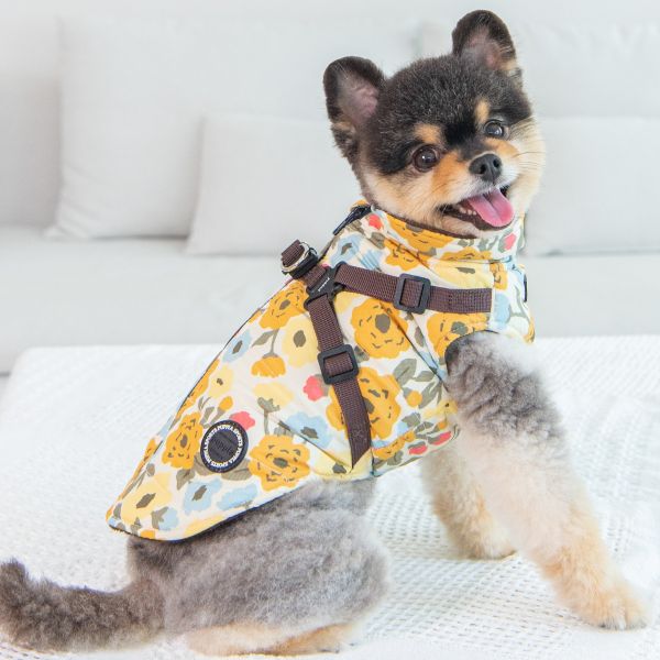 Puppia Alyssa Brown