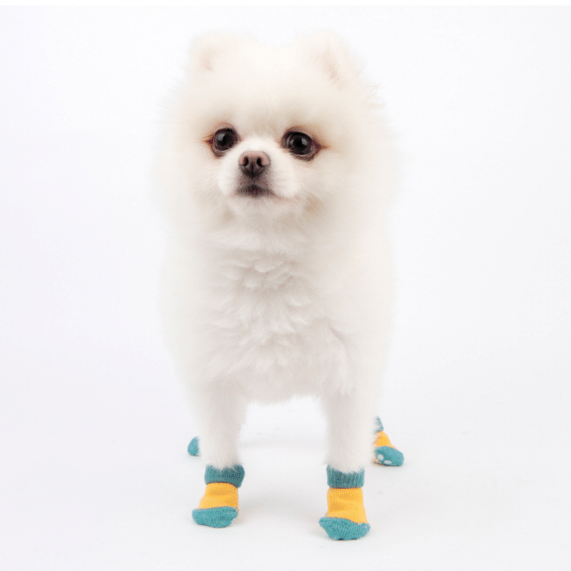 Olchi Two Color Yellow Socks 襪子