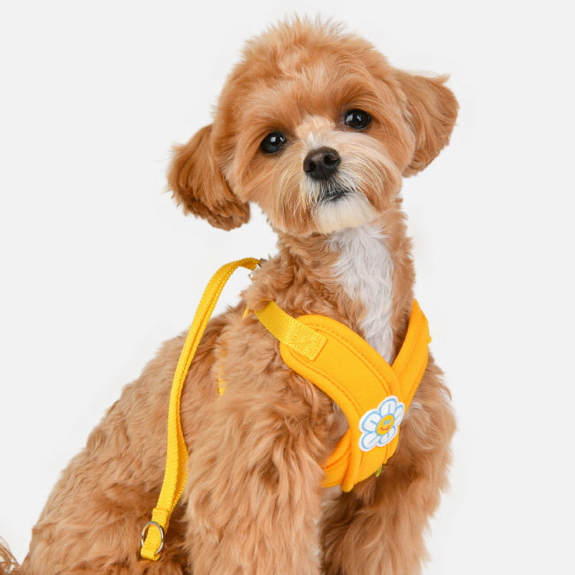 Olchi Flower X Harness
