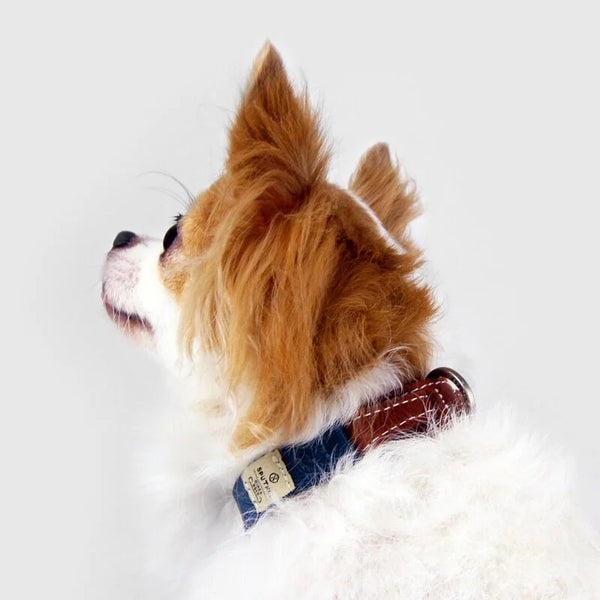 SPUTNIK Collar Pet Collar - Blue