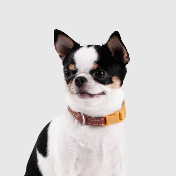 SPUTNIK Collar Pet Collar - Yellow