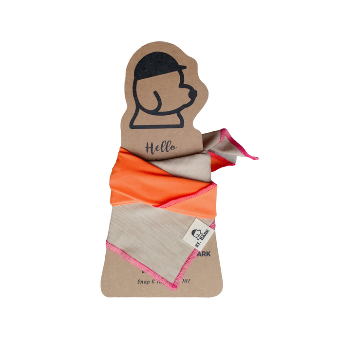 St. Bark Bandana - Dog Scarf (Bubble Rice and Happy Orange)