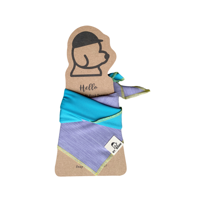 St. Bark Bandana - Dog Scarf (Sweet Pink Purple & Ocean Blue)