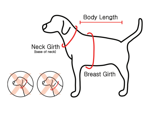 Puppia Alyssa Harness B