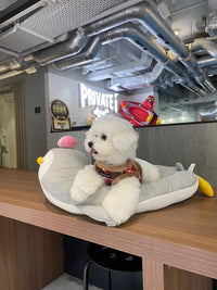 Olchi Character Cool Bed 涼爽墊 - Grey