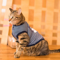 Catspia Kissie