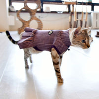 Catspia Leah