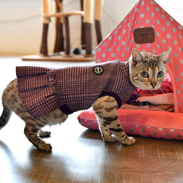 Catspia Leah