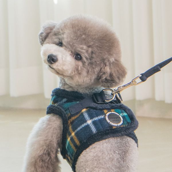 Puppia Norman Harness B Navy