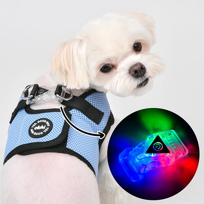 Olchi Led Combi Harness Dog Harness