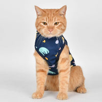 Catspia Gata Navy
