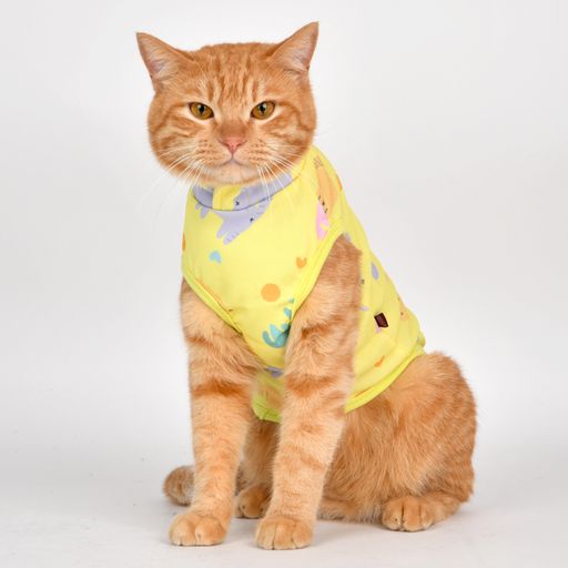 Catspia Gata Yellow