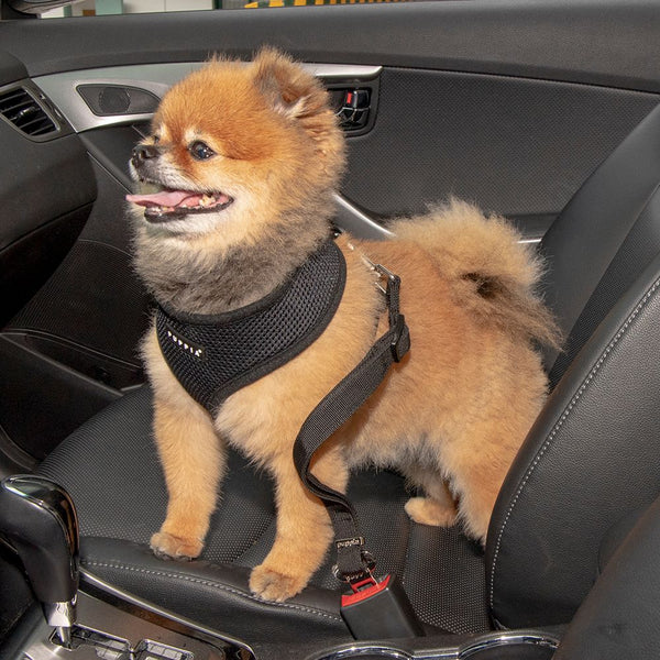Puppia Simple Dog Seatbelt Lead Dog Harness
