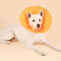 Olchi Various Pattern Neck Collar Pet Hoodie