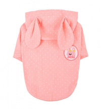 Olchi Rabbit