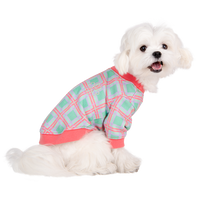 Puppia Jaylen