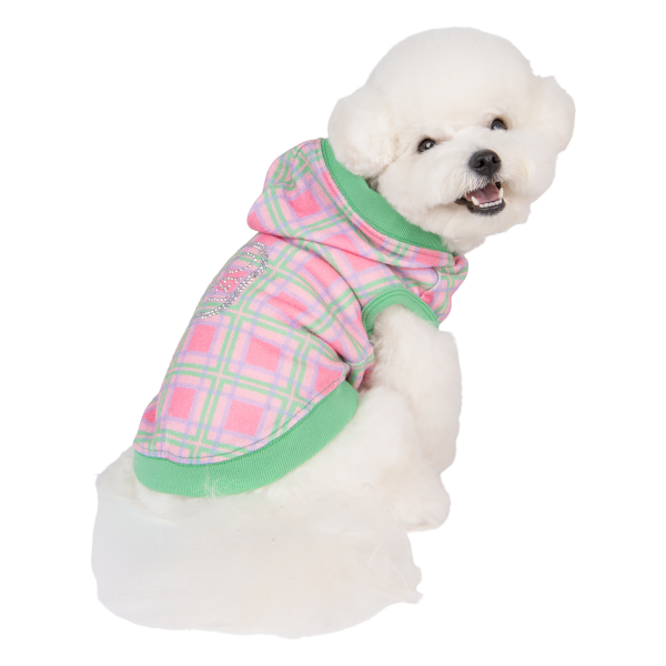 Puppia Burke