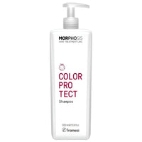 Framesi Morphosis Color Protect Shampoo 護色洗髮水 250ml / 1000ml (1L)
