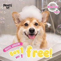 Buy 1 Get 1 FREE on basic dog grooming services (*excluding trimming)