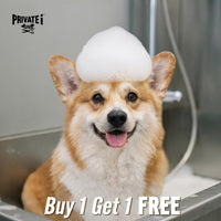 Buy 1 Get 1 FREE on basic dog grooming services (*excluding haircuts)