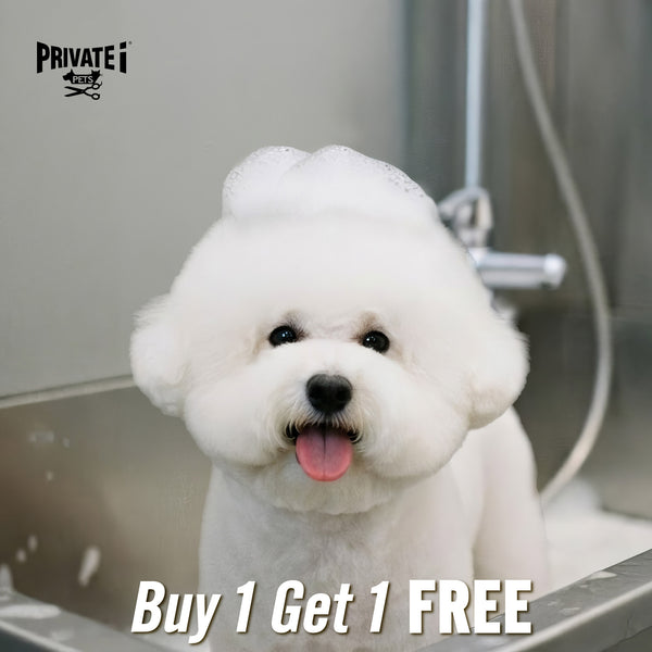 Buy 1 Get 1 FREE on basic dog grooming services (*excluding haircuts)