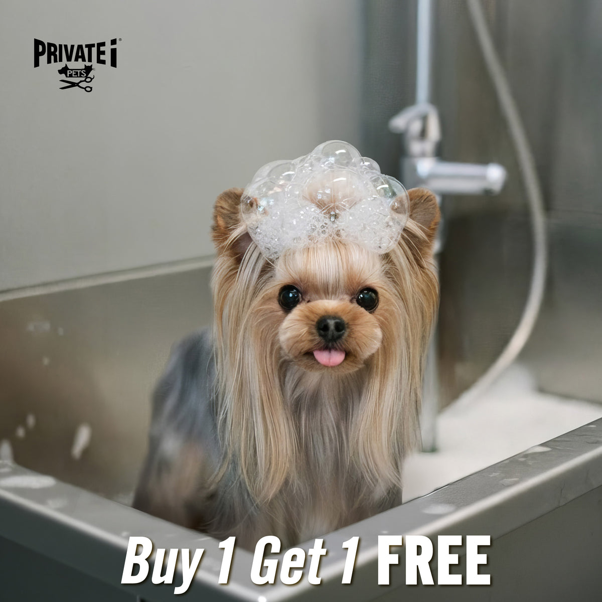 Buy 1 Get 1 FREE on basic dog grooming services (*excluding haircuts)