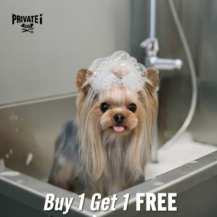 Buy 1 Get 1 FREE on basic dog grooming services (*excluding haircuts)