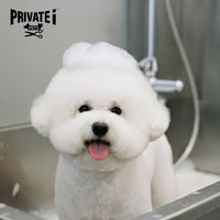 Buy 1 Get 1 FREE on basic dog grooming services (*excluding haircuts)