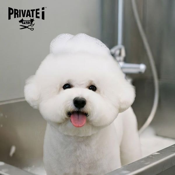 Festival Walk: Buy 1 Get 1 FREE on basic dog grooming services (*excluding haircuts)