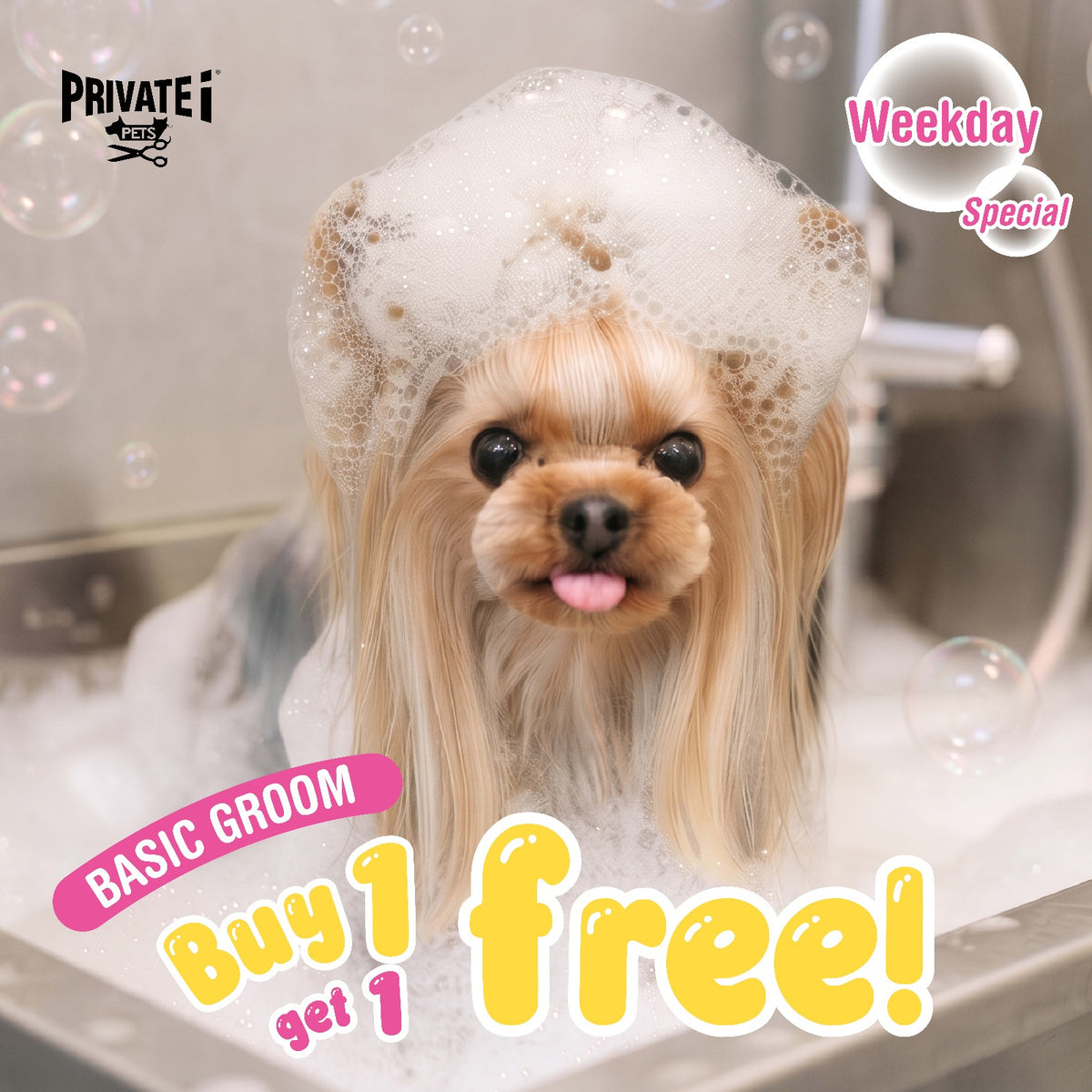 Buy 1 Get 1 FREE on basic dog grooming services (*excluding trimming)