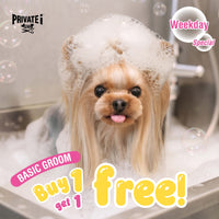 Buy 1 Get 1 FREE on basic dog grooming services (*excluding trimming)