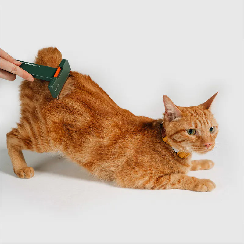 SPUTNIK COZY Pet Comb