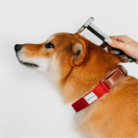 SPUTNIK COZY Pet Comb