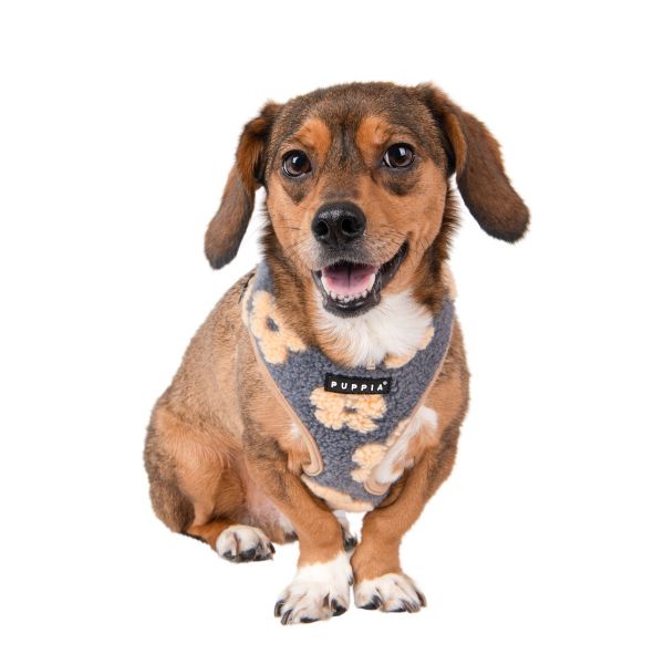 Puppia Ren Harness A Beige