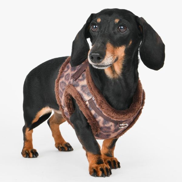 Puppia Kovo Harness B Brown