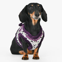 Puppia Huxley Harness B Purple