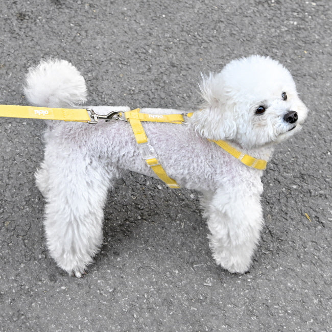 Olchi Pudding H Harness Yellow