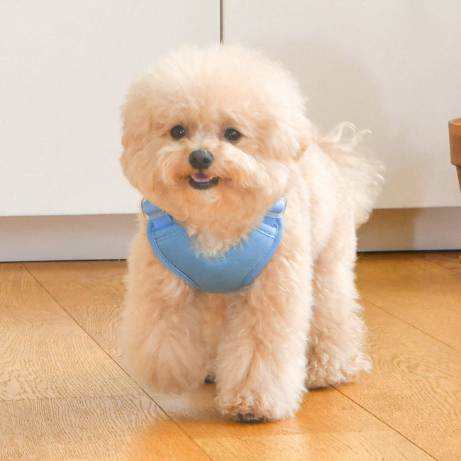 Olchi Heart Harness Sky Blue