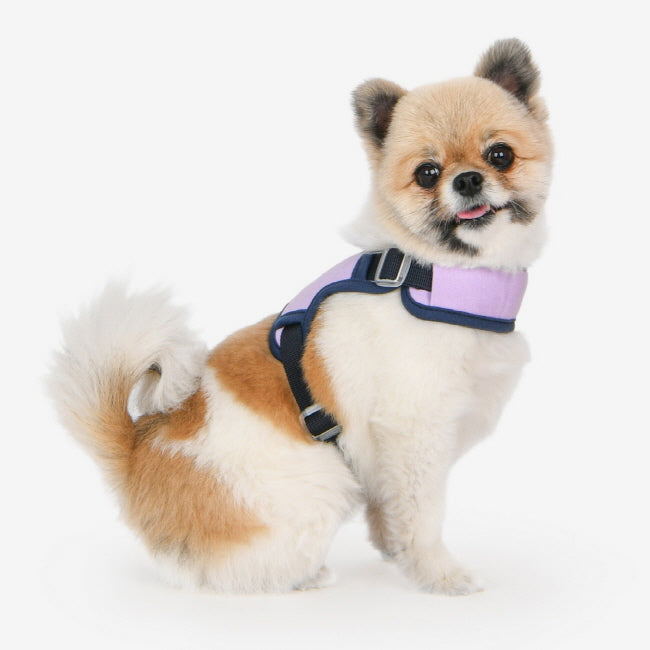Olchi Jelly Harness Purple