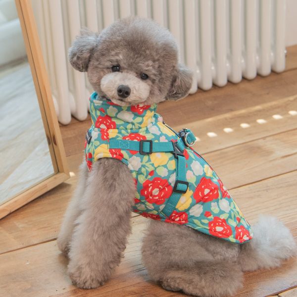 Puppia Alyssa Aqua
