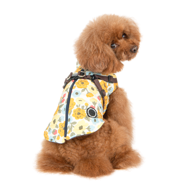 Puppia Alyssa Brown