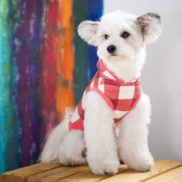 Puppia Curtis