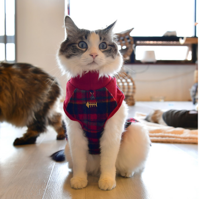 Catspia Chloe